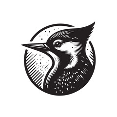 A vector illustration of a Woodpecker, perfect for wildlife designs, nature projects, and bird illustrations. Ideal for educational materials and creative work showcasing this unique bird species.
