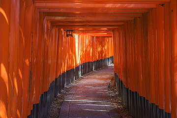 Kyoto, Japan - Sep 23 2024, Panoramic view of the corridor of the Senbon red Torii Gate at Fushimi Inari Temple, at daytime, without people, Kyoto, Japan
