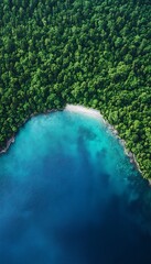 Tropical Beach Cove Aerial View
