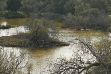 DESEMBOCADURA RIO GUADALHORCE. MALAGA. ESPAÑA. 