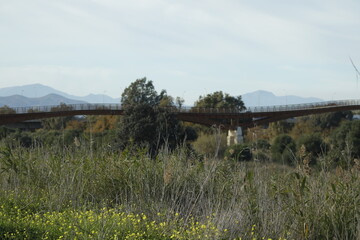 DESEMBOCADURA RIO GUADALHORCE. MALAGA. ESPAÑA. 