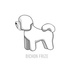 Bichon Frise Illustration