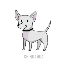 Cartoon Chihuahua Illustration