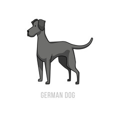 Cartoon Great Dane Illustration