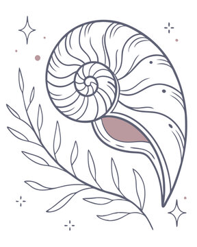 abstract shell floral background