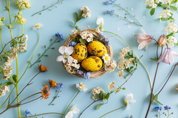 Easter flat lay. Stylish easter eggs in nest and spring flowers on blue background. Easter modern floral banner. Season greetings