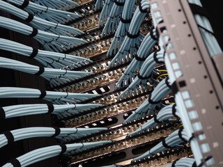 Network Rack with Blue Fiber Optic Cables and Connectors Close-Up