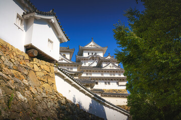 Himeji, Japan - Sep 24 2024, panoramic view of Himeji Castle, White Heron Castle, from behind the roof of the annex and a tree, in the daytime, without people, Himeji, Japan
