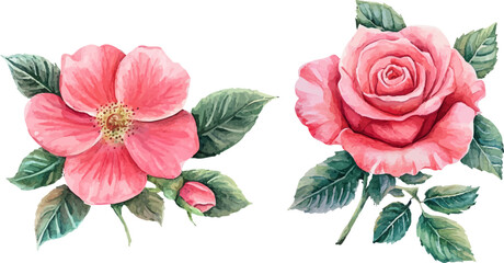 Set of colorful flowers in watecolor style	
