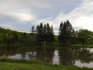 Fototapeta premium The natural beauty of the pond within the Davis Riverfront Park, Tucker County, West Virginia.