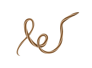 Artistically Tied Shoelace