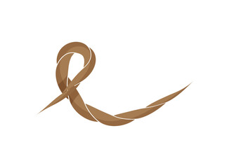 Artistically Tied Shoelace