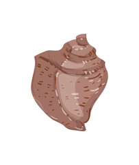 Vector illustration of a brown conch shell.
