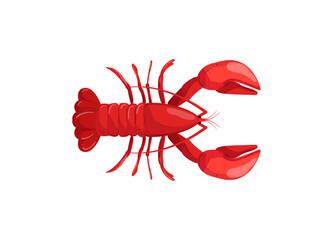 Vector illustration of a red lobster with large claws.