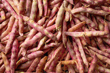 vegetables at the market