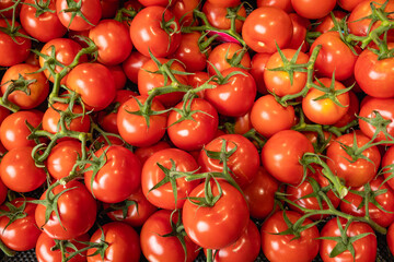 red tomatoes background