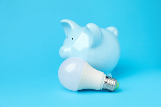 Piggy bank and lightbulb on light blue background, closeup. Energy saving concept