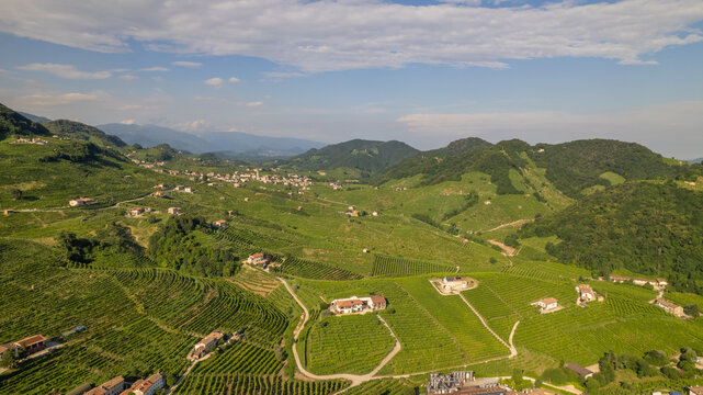 Famous Prosecco Hills in Veneto wine region. The DOCG Cartizze Hills. The Cartizze area is located in the municipality of Valdobbiadene (Treviso, Italy).