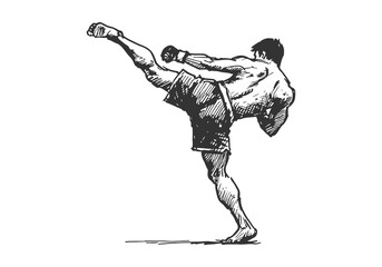 Mixed Martial Arts Fighter hand drawn sketch vector illustration © Shutoda
