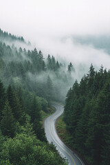 road to the mountains