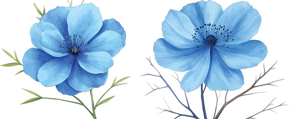 Fototapeta premium Blue iris flower isolated on white with vibrant petals and natural beauty