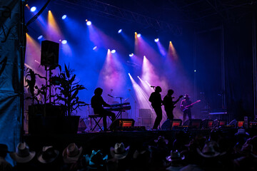 Country Music Concert Performance with Band and Colorful Stage Lighting