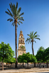 Explore the stunning tower and orange trees of Mosque of C&oacute;rdoba
