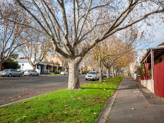 North Melbourne in autumn, with historic residential houses and parked cars. Melbourne's inner-city neighborhoods, with its wide streets, mature trees, and a peaceful residential atmosphere