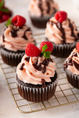 Raspberry chocolate cupcakes with raspberry buttercream frosting a drizzle of chocolate glaze