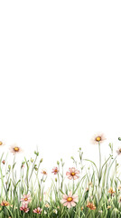 Illustration of Floral Meadow with Transparent Background Blooms and Grass