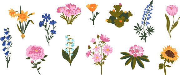 Set of vector botanical illustration with garden and wild flowers
