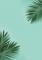 Fototapeta premium Selective focus. a natural and artistic contrast between light and shadow, Abstract of tropical palm leaves casting intricate shadows on a wall, 