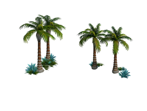 Illustration Tropical Palm Tree Isolated On Transparent Background Set