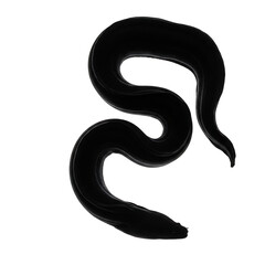 Black Silhouette of Horned Eel with Twisted Body