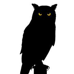 Fototapeta premium Black Silhouette of Horned Owl with Glowing Eyes