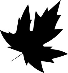 Hand Drawn Stylized Leaf Illustration