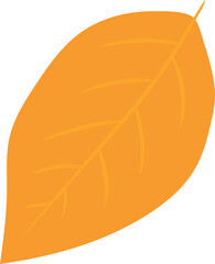 Hand Drawn Stylized Leaf Illustration