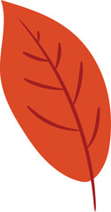 Hand Drawn Stylized Leaf Illustration