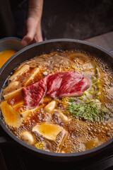 woman in a japanese hotpot restaurant
