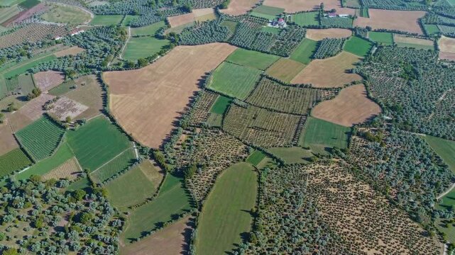 Aerial view of diverse agricultural fields with geometric patterns, showing multiple crop types, green and brown fields, tree lines, and forest boundaries