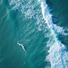 Obraz premium Aerial view of a swimmer gliding through ocean waves under a clear blue sky.