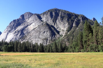 The Ahwahnee meadow in Yosemite Valley, California