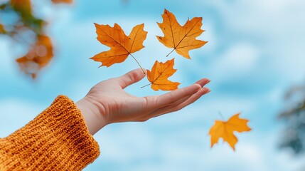 Hand in Mustard Sweater Releases Three Vibrant Yellow-Orange Maple Leaves Against Bright Blue Autumn Sky Background