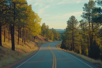Naklejka premium Scenic Winding Road Through Lush Green Forest in Autumn Light