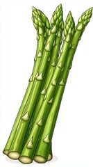Obraz premium Close-up Illustration of Vibrant Green Asparagus Stalks with Tightly Clustered Tender Tips Captu Freshness and Nutrition