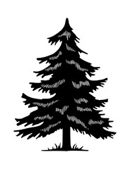 Obraz premium Black Pine Tree Silhouette Vector Graphic
