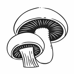 Black and White Mushroom Line Art - Vector	