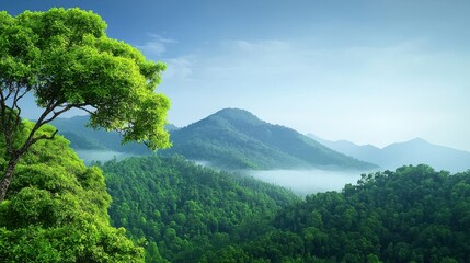 Enveloped in Mist, Kerala's Lush Green Mountains Whisper Serenity with Vibrant Slopes and Valleys Stretching to Horizon