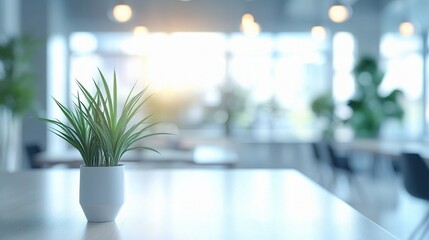 Bright Minimalist Co-Working Space with Defocused Background