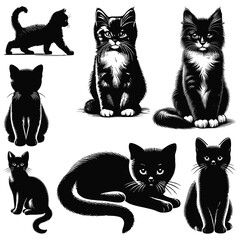 set of cats
